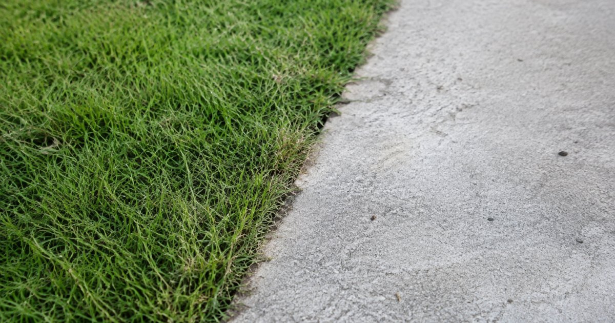 Tapis herbe verte deploye contre couche ciment grise